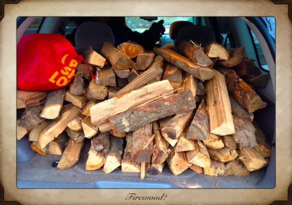 Yesterday evening's wood haul.