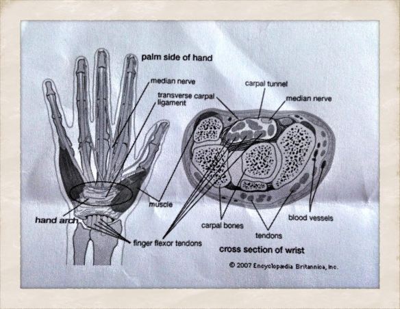 Source:  Encyclopedia Britannica, Inc via Versa Gripps