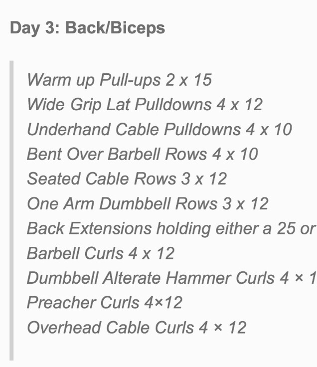 Vanessa Tib's Workout