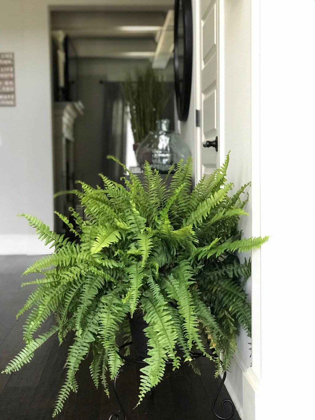 Environmental Wellness:  How Fit Is Your&nbsp;Home?