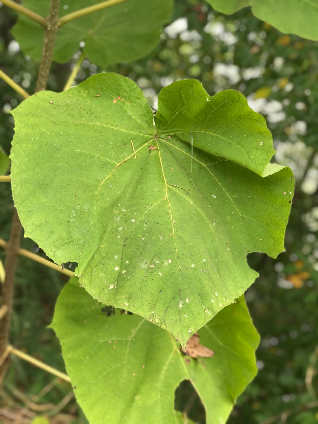 A Change in Location: A Change in&nbsp;Mind